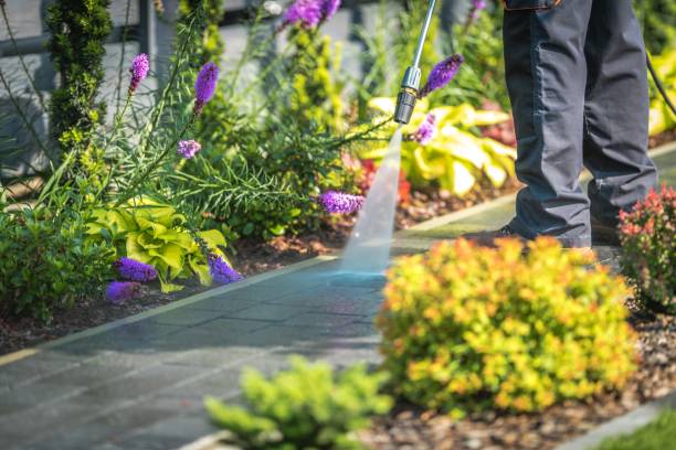 Best Dumpster Area Cleaning  in Upper Greenwood Lake, NJ